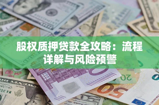 北京股权质押贷款全攻略：流程详解与风险预警