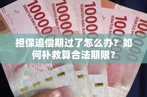 北京担保追偿期过了怎么办？如何补救算合法期限？