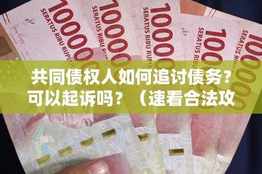 北京共同债权人如何追讨债务？可以起诉吗？（速看合法攻略）